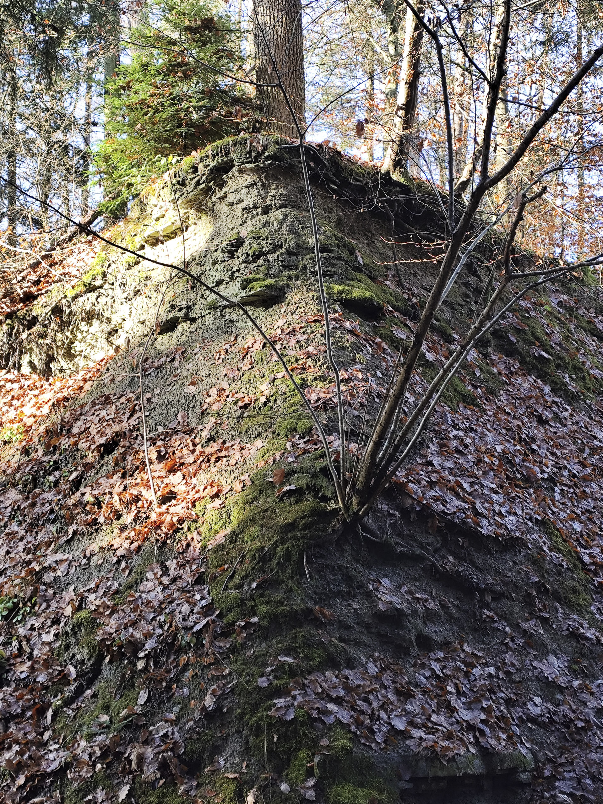 20251129120938 IMG 20251129 120938